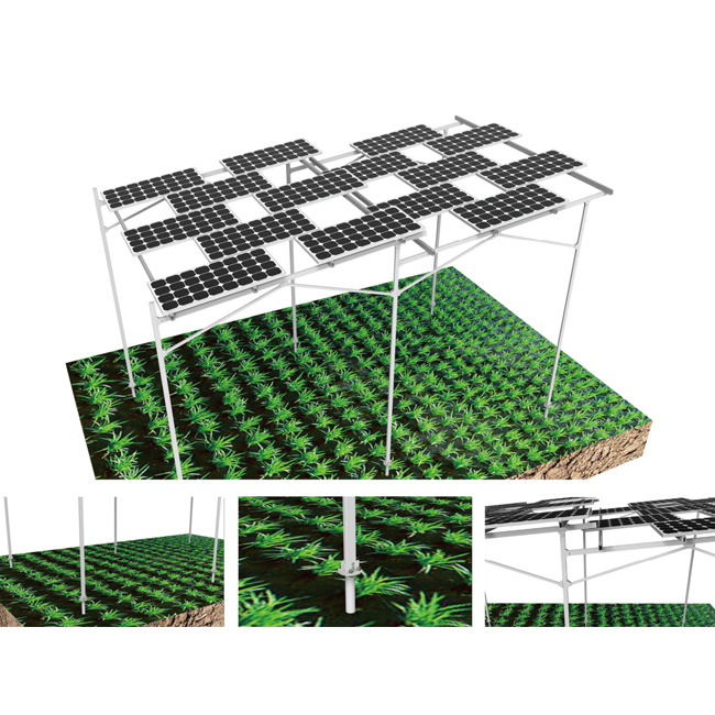 A new model of photovoltaic agriculture: a complementary model of agriculture and photovoltaics