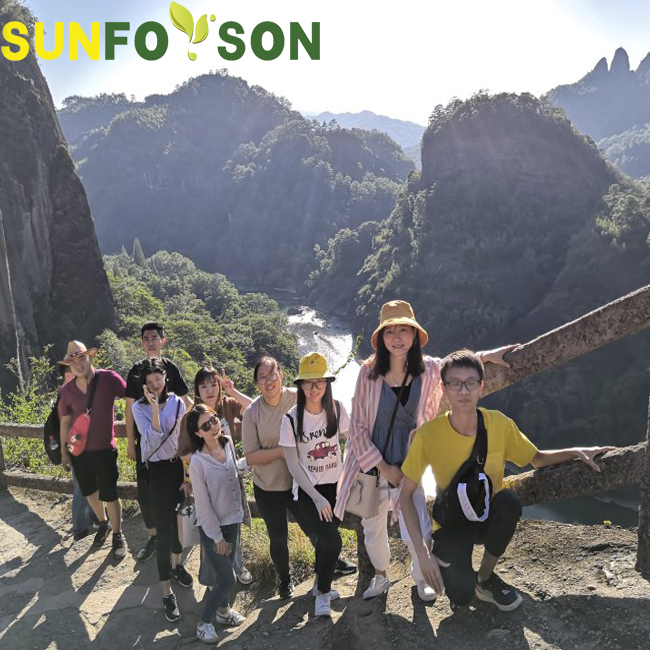 Wuyi Mountain Travel -- Sunforson Team Building